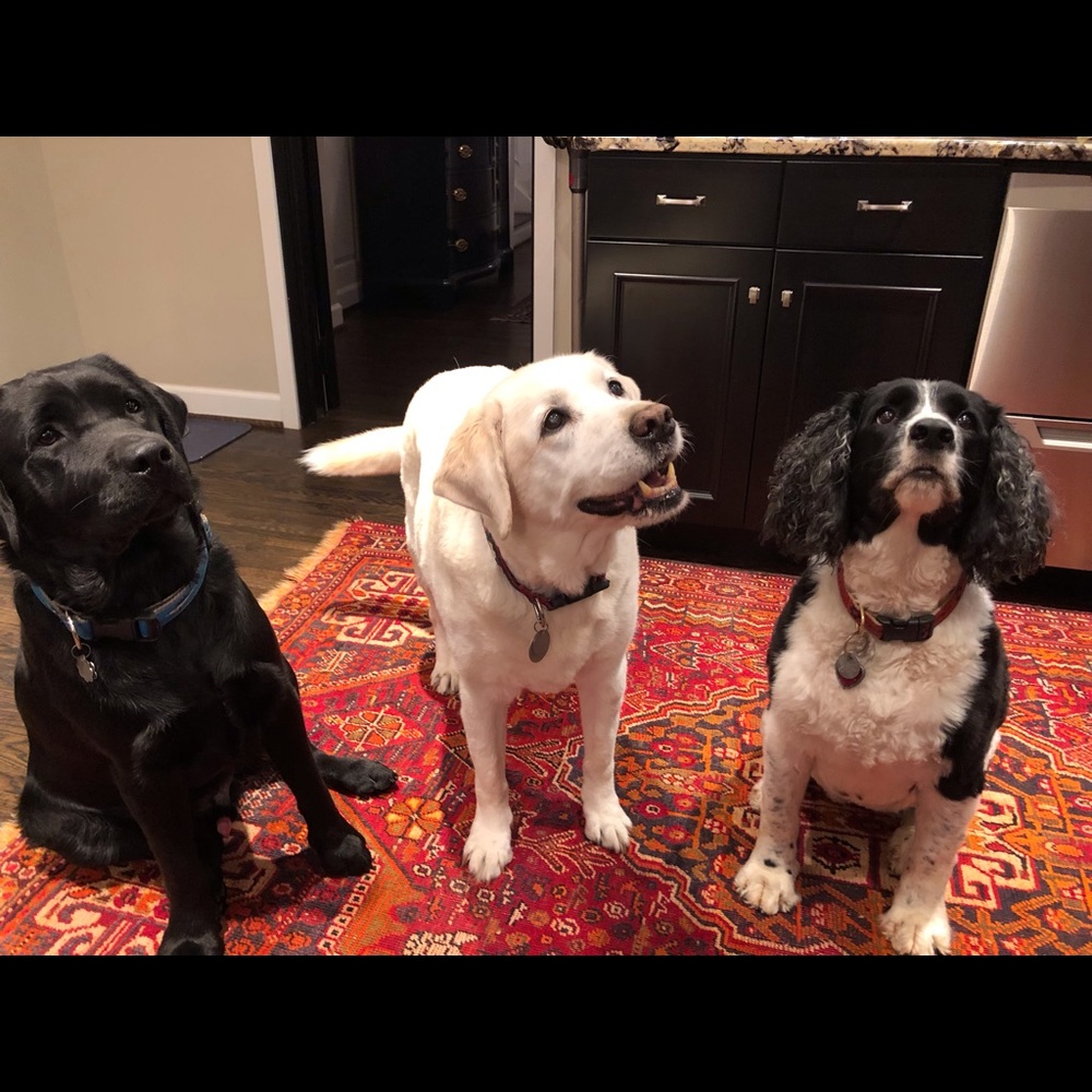 Meet your Posher, Sarah